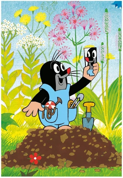 Puzzle 2x24 - Krtek na mýtince