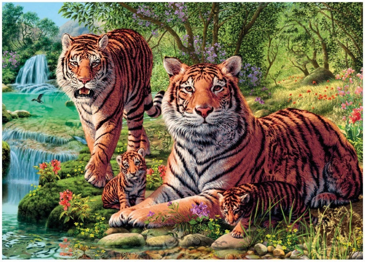 Puzzle 1000 - Tygři