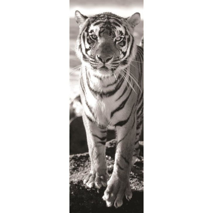 Puzzle 1000 – Tiger