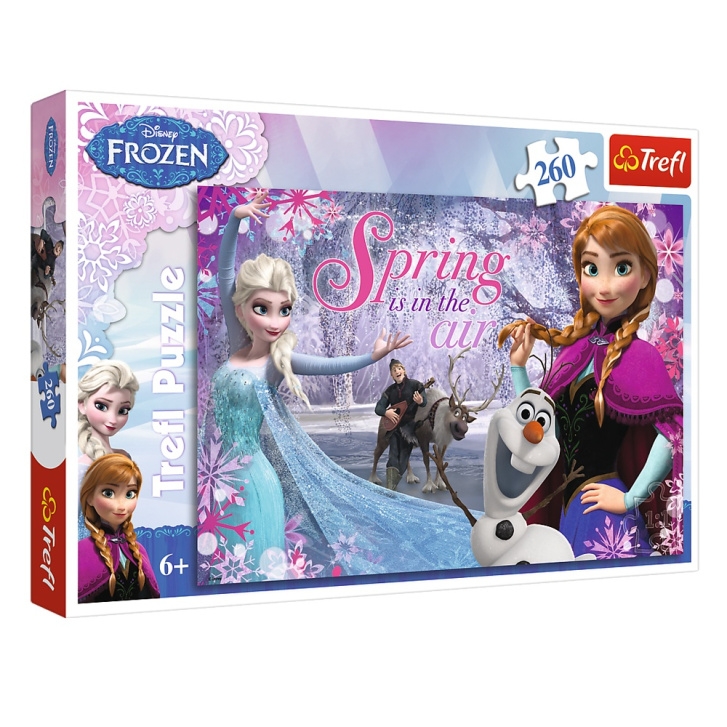 Puzzle 260 – Frozen