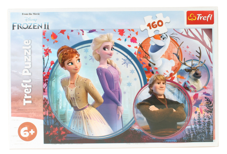 Puzzle 160 - Frozen 2