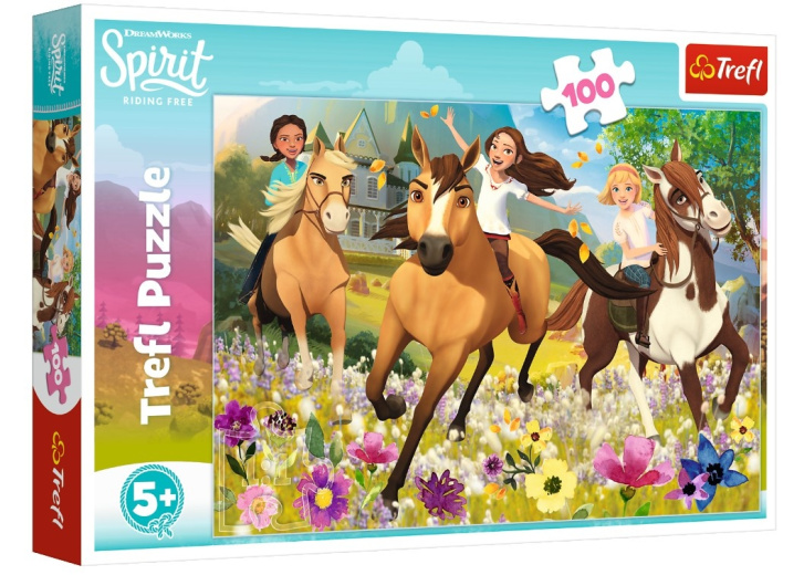 Puzzle 100 – Spirit, volnost nadevše