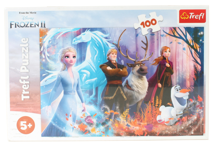 Puzzle 100 - Frozen 2
