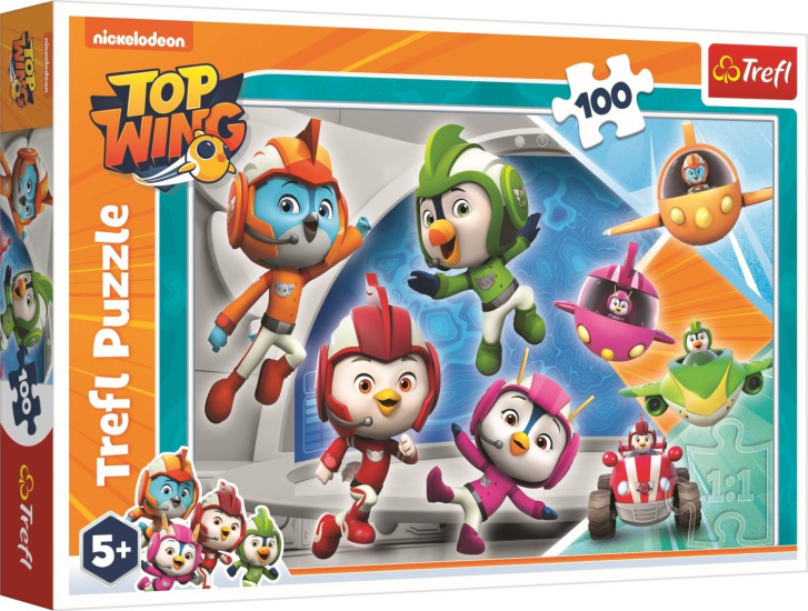 Puzzle 100 – Top Wing