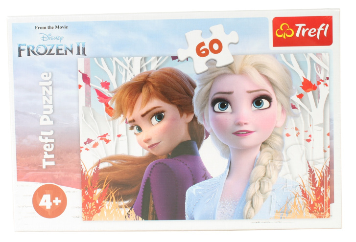 Puzzle 60 - Frozen 2