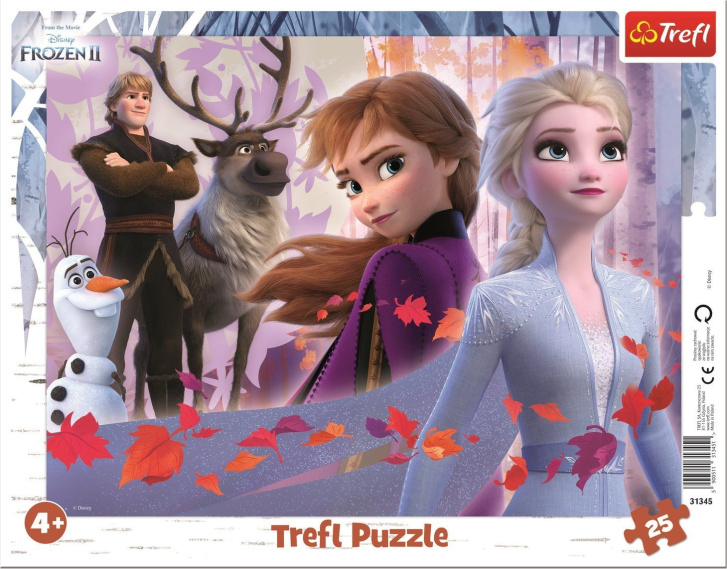 Puzzle 25 – Frozen 2