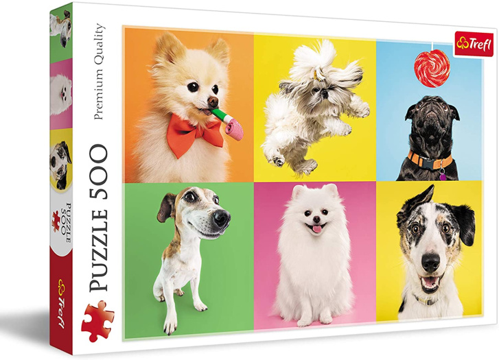 Puzzle 500 – Psi