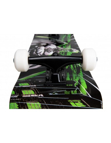 Skateboard Wasteland