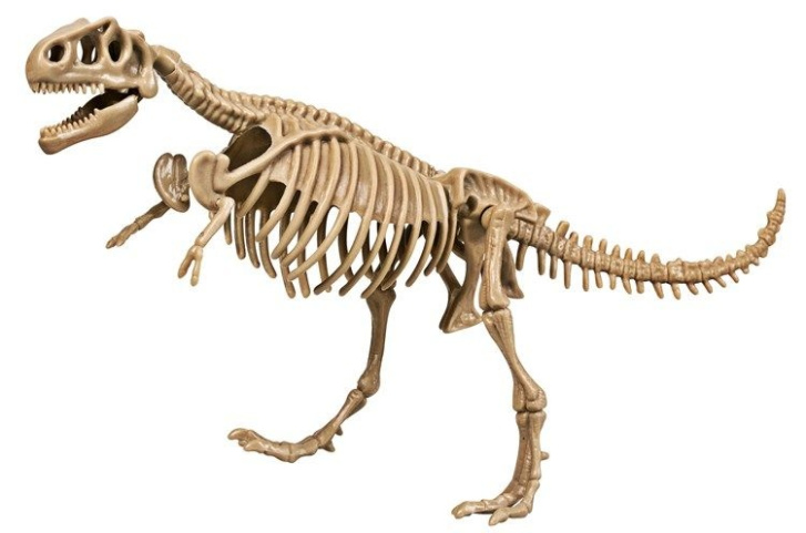 Archeologická souprava Dinosaurus