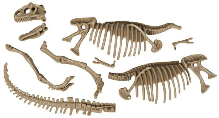 Archeologická souprava Dinosaurus
