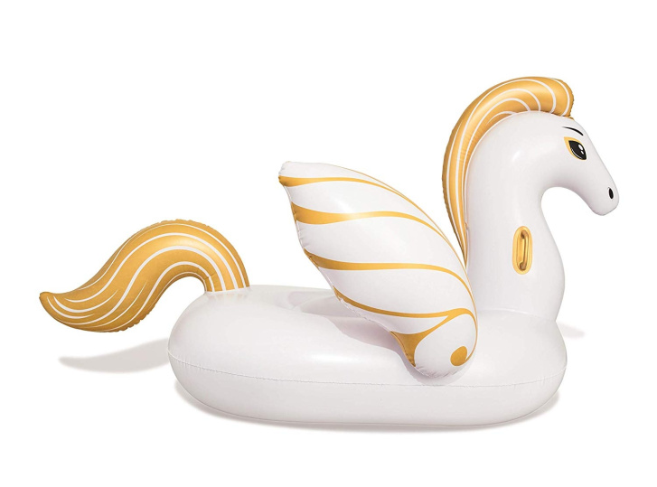 Nafukovací Pegasus