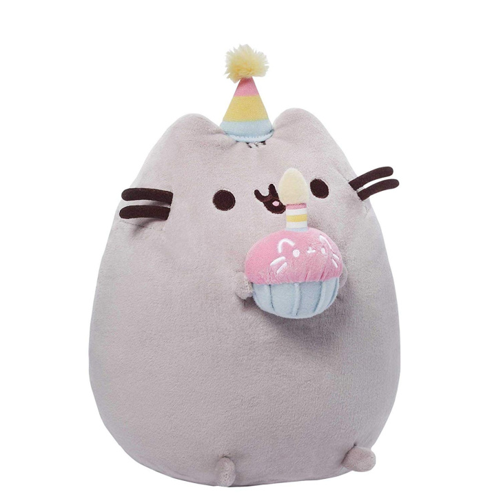 Plyšová kočička Pusheen na oslavě