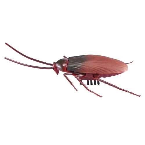 Robo Alive – Šváb