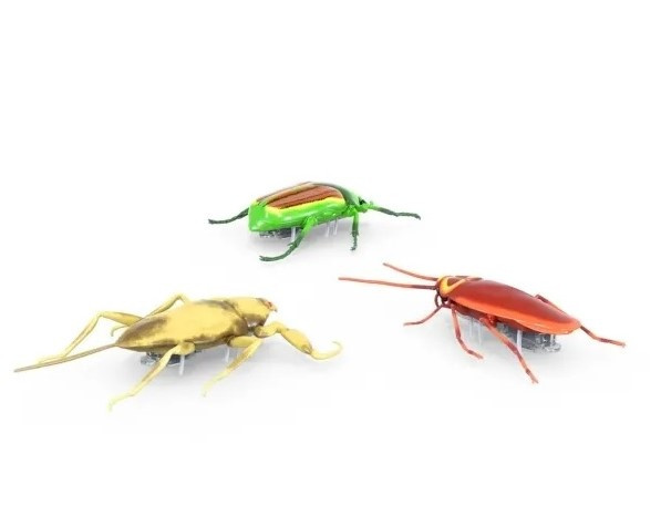 HexBug – Brouci