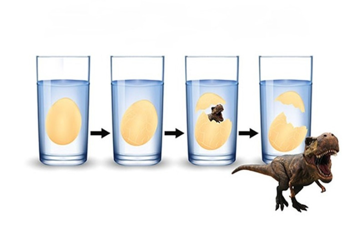 Dinosauří vejce