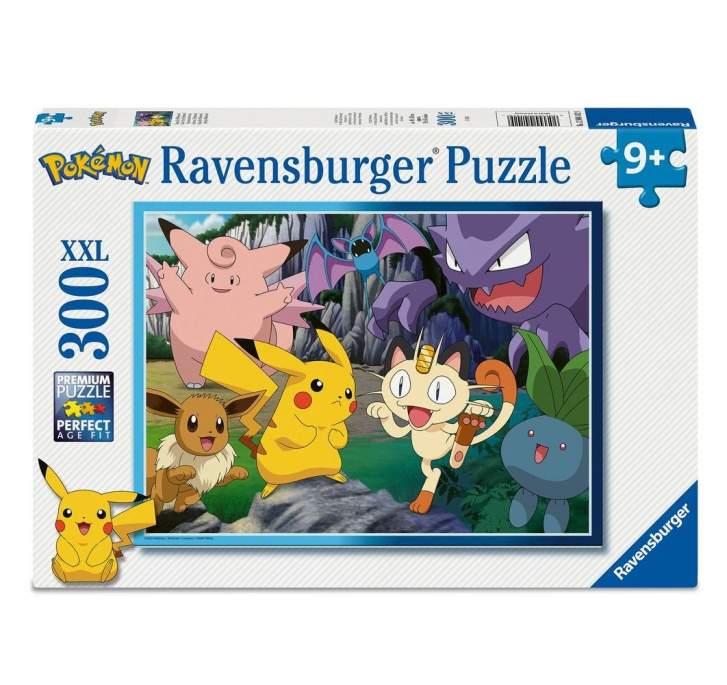 Puzzle 300 – Pokémon