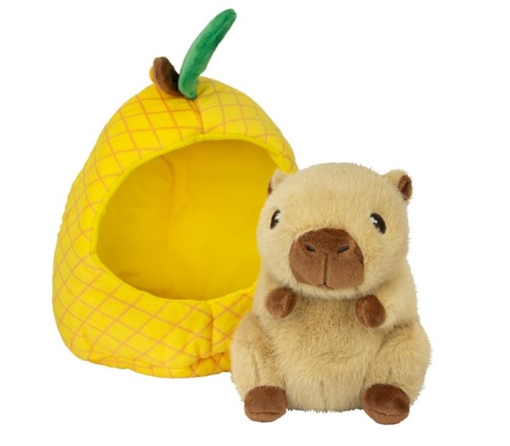 Kapybara v ovoci Ananas