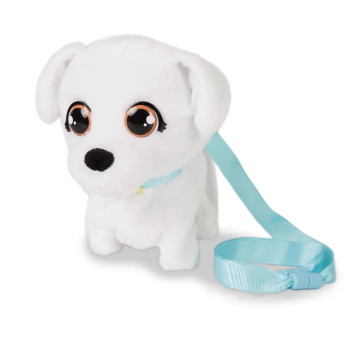 Club Petz - Chodící bichon