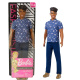 Barbie – Ken Fashionistas 114