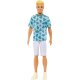 Barbie – Ken Fashionistas 211
