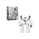 Robo Blast