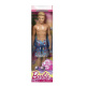 Barbie - Ken na pláži
