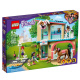 41446 LEGO FRIENDS – Veterinární klinika v městečku Heartlake