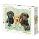 Puzzle 1000 - Labradoři