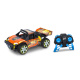 Nikko-Race Buggies