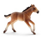 Schleich - Hříbě Mustang 13807