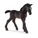 Schleich – Hříbě Lipizzaner 13820
