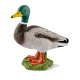 Schleich – Kačer 13824