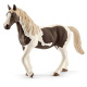 Schleich - Kobyla Pinto 13830