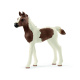 Schleich – Hříbě 13839