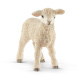 Schleich - Jahňátko 13883