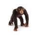 Schleich - Šimpanzí mládě 14817