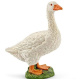 Schleich – Husa 17063