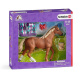 Schleich - Anglický plnokrevník s doplňky 42360