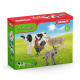 Schleich - Domácí zvířátka 42385