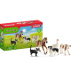 Schleich – Domácí zvířátka 42386