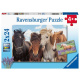 Puzzle 2x24 - Kone