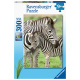 Puzzle 300 XXL – Zebry