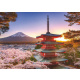 Puzzle 1000 - Kirschblüte v Japonsku