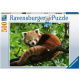 Puzzle 500 – Panda červená