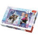 Puzzle 160 – Frozen II