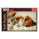 Puzzle 100 - Zvířata