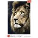 Puzzle 1500 – Lev