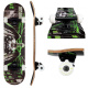 Skateboard Wasteland