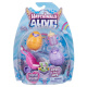 Hatchimals – Vajíčka