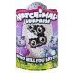 Hatchimals - Dvojčata kočičky